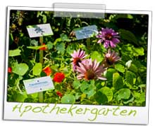 DrKRAUS Apothekergarten